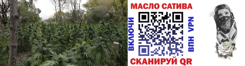 Купить закладки  Гудермес  ТГК Wax 